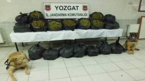 Yozgat Jandarma 100 kilo 420 gram  esrar ele geçirdi