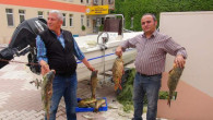 Yozgat Gıda Tarım ve Hayvancılık Müdürlüğü kaçak avlanmaya geçit vermiyor