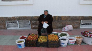 Yaşlı kadın evinin geçimini dağdan topladığı meyveleri satarak sağlıyor
