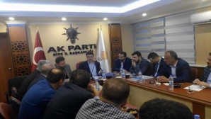 AK Partili Başer, Referandum çalışmalarında bir haftada 13 ili ziyaret etti
