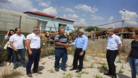 Yozgat’ta çiftçilere 550 büyükbaş sığır dağıtımı yapıldı