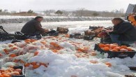 Devrilen TIR’dan dökülen 20 ton portakalı vatandaşlar topladı
