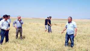 Yozgat’ta 15 Bin dekar ekili tarım arazisi dolu ve yağıştan zarar gördü
