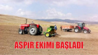 Yozgat’ta çiftçiler aspir ekimine başladı
