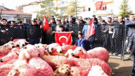Mehmetçiğe 66 kurbanlık koyun ve iç çamaşırı gönderdiler