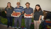 Yozgat’ta çilek üretimi yaygınlaştırılıyor