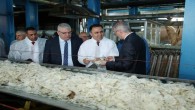 Yozgat Şeker Fabrikası, 420 Bin Ton alım yapacak