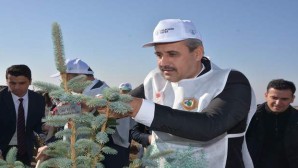 Yozgat Belediyesi 7 Bin 500 fidanı toprakla buluşturdu
