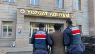 Jandarma operasyonunda aranan 11 şahıs tutuklandı