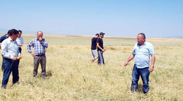 Yozgat’ta 15 Bin dekar ekili tarım arazisi dolu ve yağıştan zarar gördü