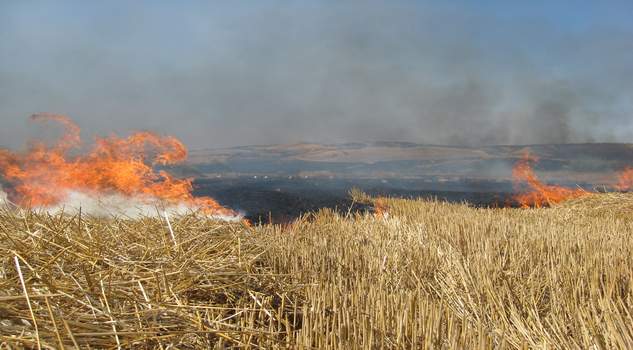 Özdemir: Anız yangını toprağın verimini düşürür