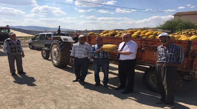 Yozgat’ta kavun, karpuz üreticileri Pazar sıkıntısı yaşıyor