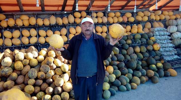Çiftçiler yol kenarlarına açtıkları tezgahlarda kavunları tüketmeye çalışıyor