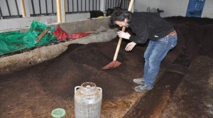 İnternette gördü solucan gübresi üretim tesisi kurdu