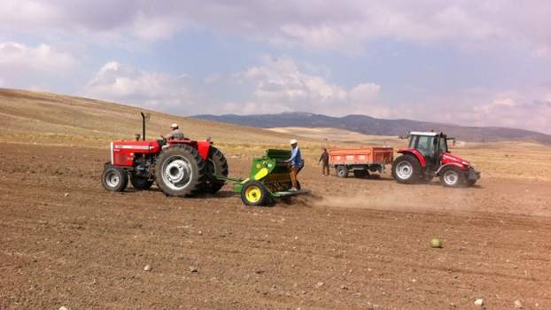 Yozgat’ta Aspir ekimine başlandı