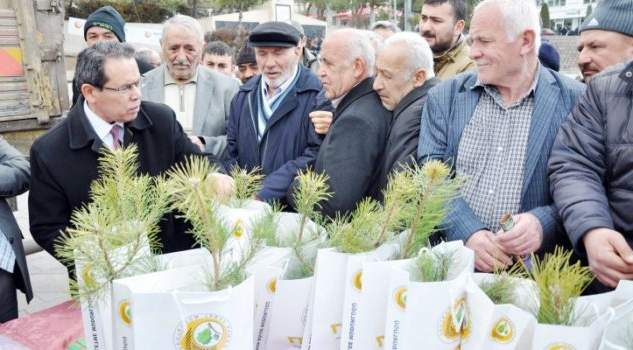 Vatandaşlara 5 Bin adet fidan dağıtıldı