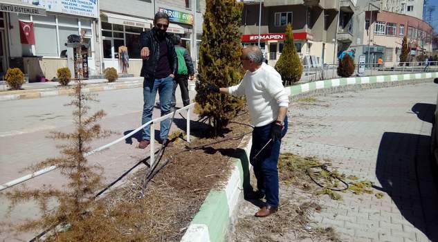 Esnaftan örnek davranış