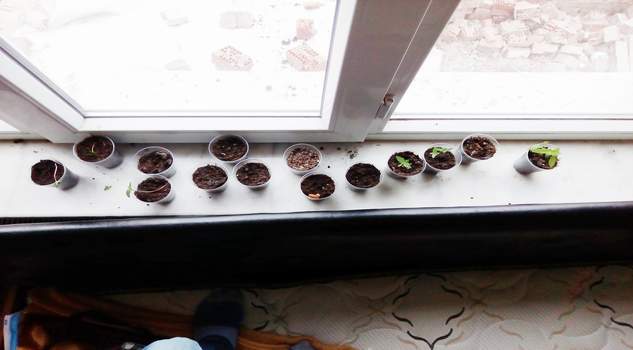 Emniyetten uyuşturucu operasyonu: 2 gözaltı