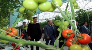 Vali Yurtnaç: Amacımız Jeotermal kaynakları ekonomiye kazandırmaktır