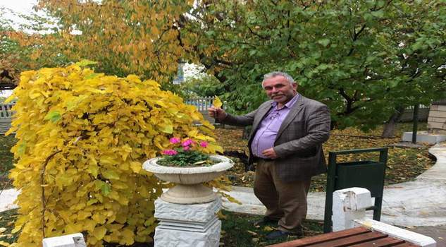 Sararan yapraklar kartpostallık görüntüler oluşturdu