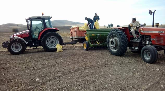 Yerköy’de 500 Bin dekar alanda hububat ekimi yapılacak