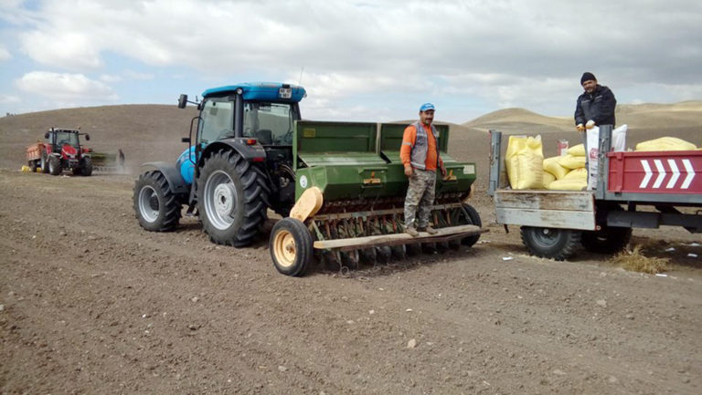 Yağış Yozgatlı çiftçileri sevindirdi