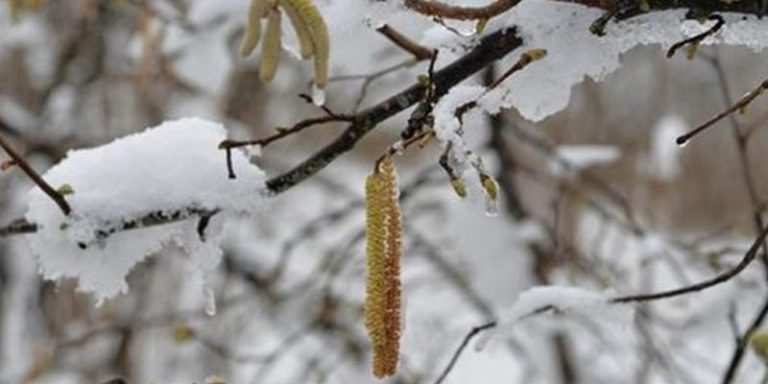 Meteorolojiden don uyarısı