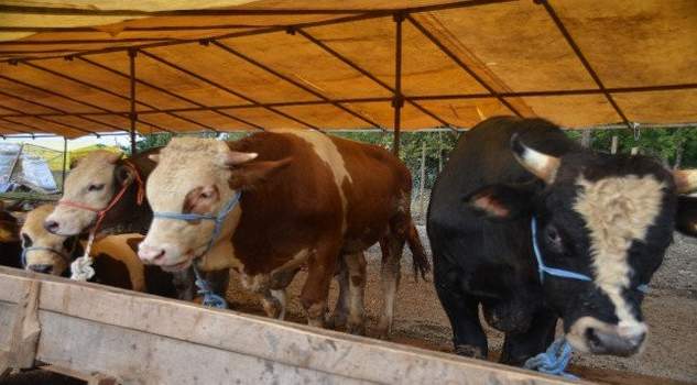 KOP projesi müracaatları 1 Ocak’ta başlıyor