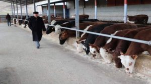 Yozgatlı besici: Canlı Hayvan ithaline değil, ithal ete karşıyız