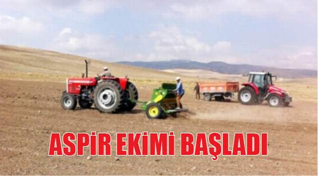 Yozgat’ta çiftçiler aspir ekimine başladı