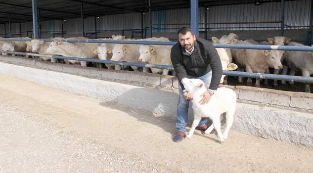 Yozgat Şarole’nin merkezi olacak