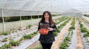 Üniversite mezunu genç girişimci ürünleri pazara götürmeden tükeniyor