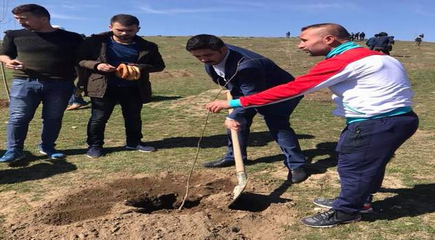Ülkü Ocakları 3 Bin fidanı toprakla buluşturdu
