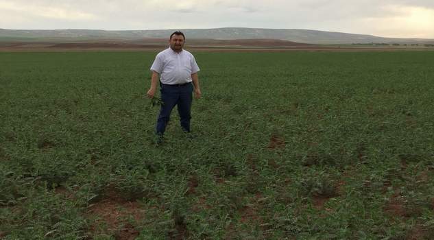 Yozgat’ta nohut tarlalarında koruyucu ilaçlama çalışması başladı