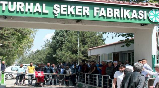 Turhal Şeker Fabrikası işçileri özlük hakları ile işlerine devam ediyor