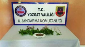 Mevsimlik işçiye uyuşturucudan gözaltı