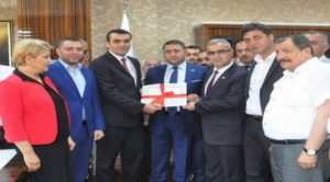 MHP Milletvekili Sedef, mazbatasını aldı