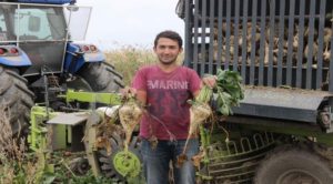 Pancar ödemeleri devam ediyor