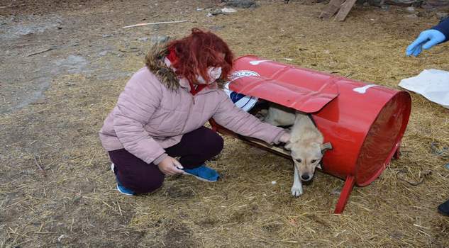 Belediye öncülüğünde ortak proje ile onlarında yuvası oldu