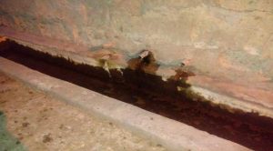 Kuraklık çeşmeleri kuruttu