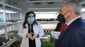 Sektör ihtiyacına göre  Kenevir bitkisi üretilebilecek