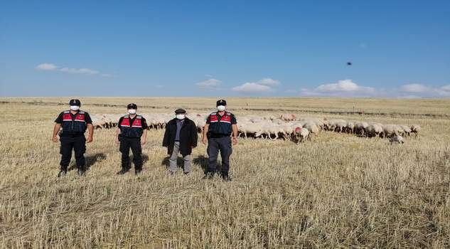 Kaybolan 195 küçükbaş hayvanı Jandarma buldu