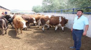 Ünsür: Her bütçeye uygun kurbanlıklarımız mevcuttur