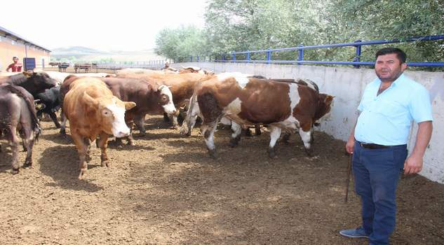 Ünsür: Her bütçeye uygun kurbanlıklarımız mevcuttur