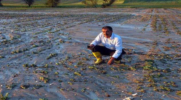 Sel nedeniyle tarım alanları zarar gördü