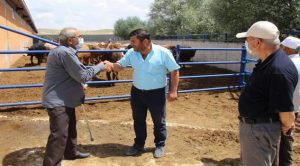 Kurban Bayramı yaklaştı pazarlıklar kızıştı