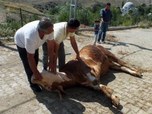 Yozgat’ta kurban kesim yerleri belirlendi