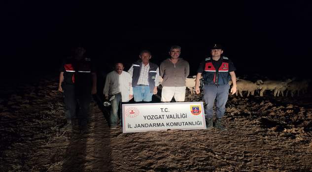 Jandarma, 70 küçükbaş hayvanı bularak sahibine teslim etti