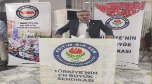 Selvi: Okullar evlerden daha güvenli