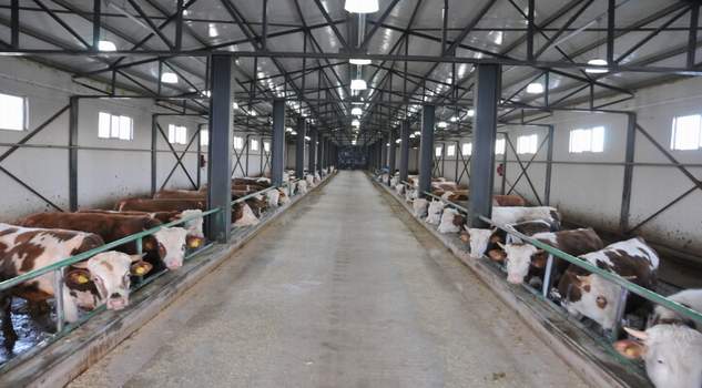 Başvuru süresi 21 Nisan’a kadar uzatıldı